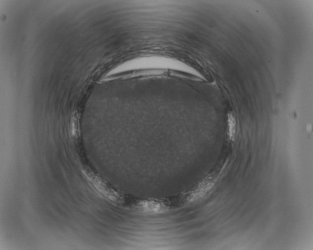 X0000085050272200703191306