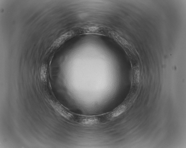 X0000085050274200703191306
