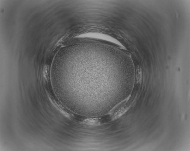 X0000085050280200703191307