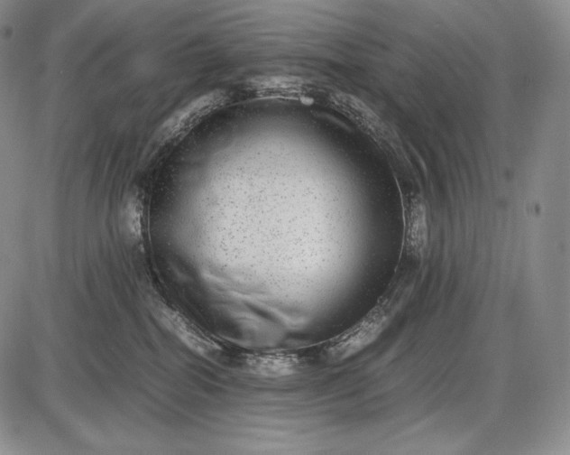 X0000085050282200703191307