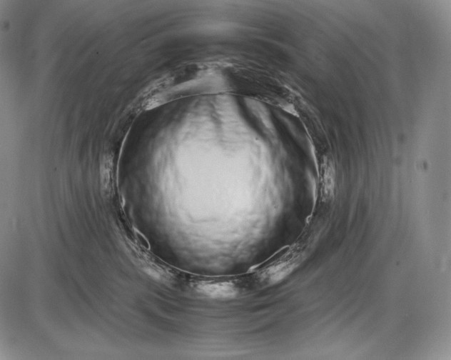 X0000085050283200703191307