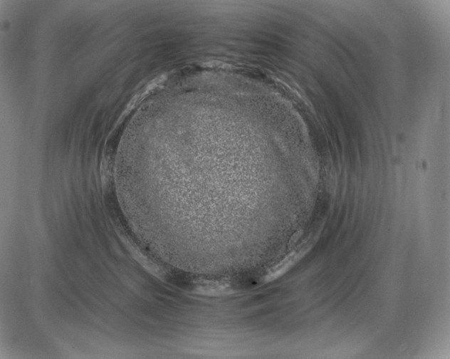 X0000085050285200703191307