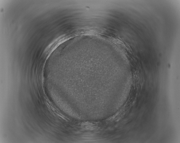 X0000085050290200703191306