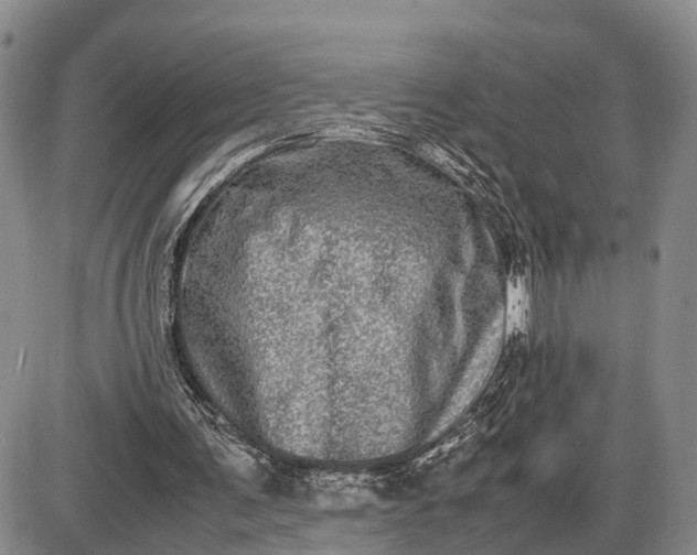 X0000085050291200703191306