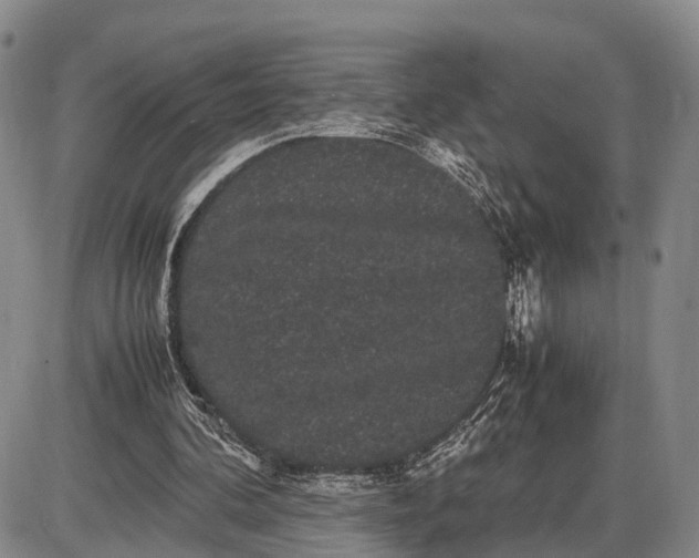 X0000085050292200703191306