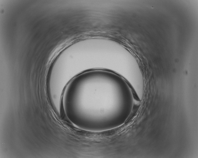 X0000085050293200703191306