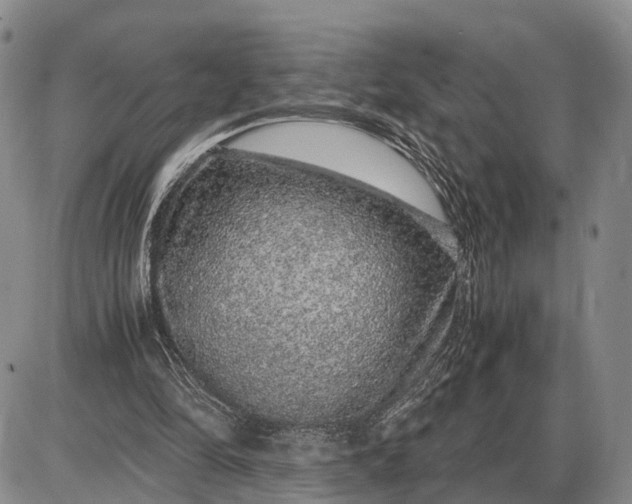 X0000085050294200703191306