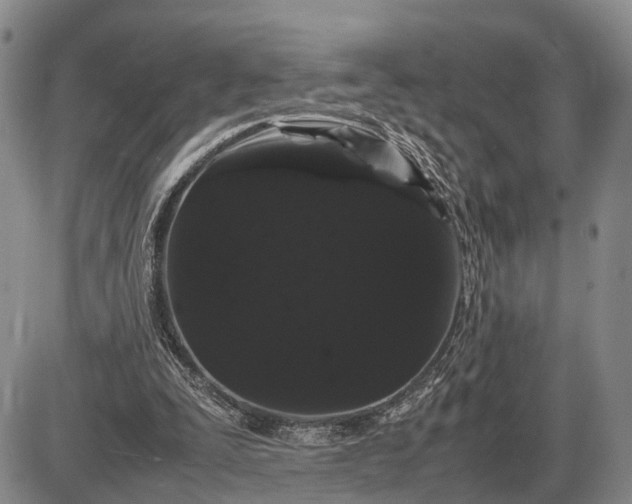 X0000085050295200703191306