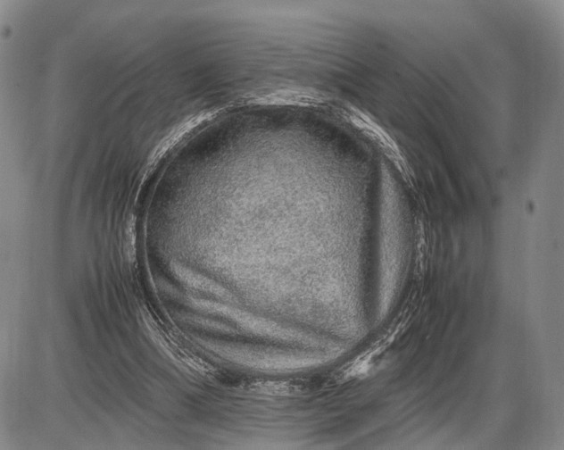 X0000085050298200703191306