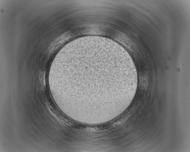 X0000085050302200703191306