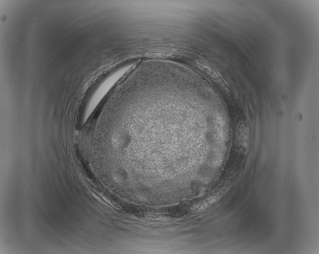 X0000085050303200703191306