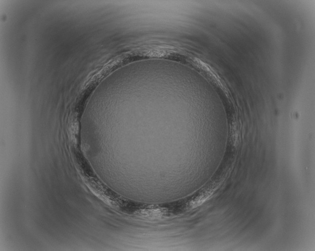 X0000085050307200703191306