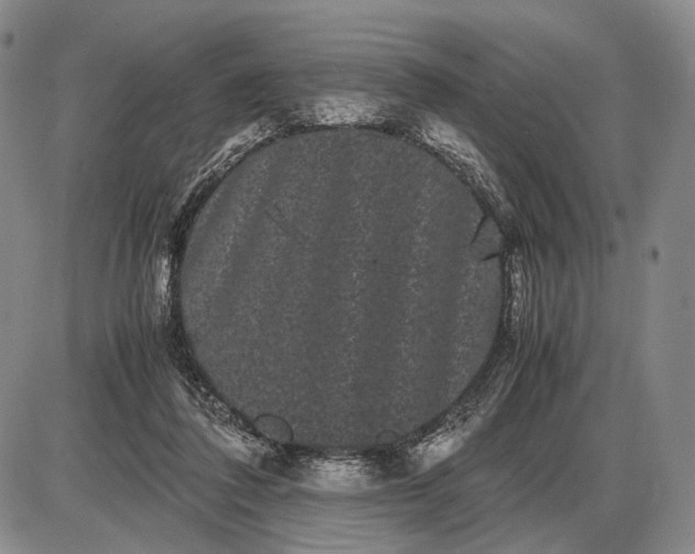 X0000085050308200703191306