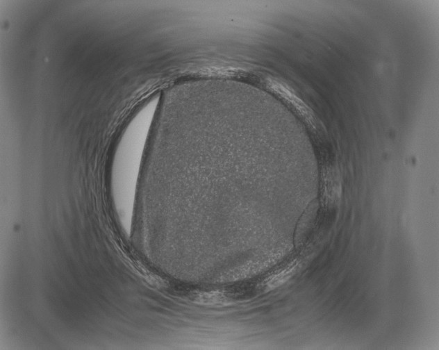 X0000085050309200703191306
