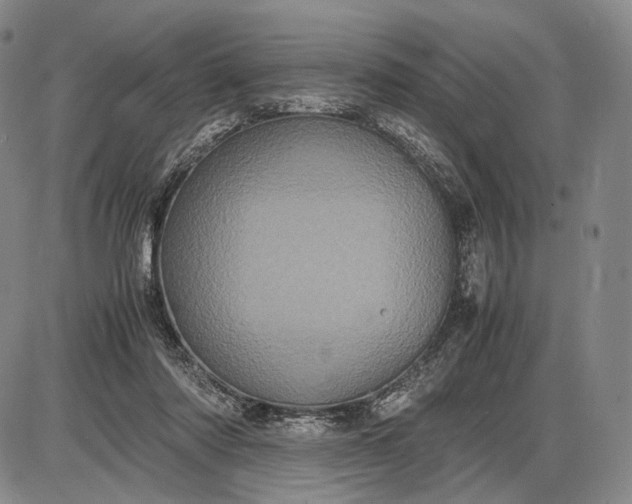 X0000085050310200703191306