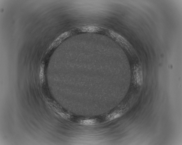 X0000085050312200703191306