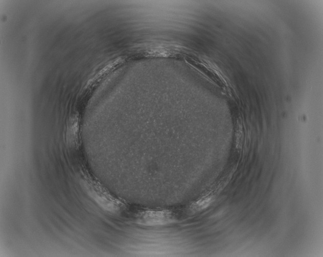 X0000085050314200703191306