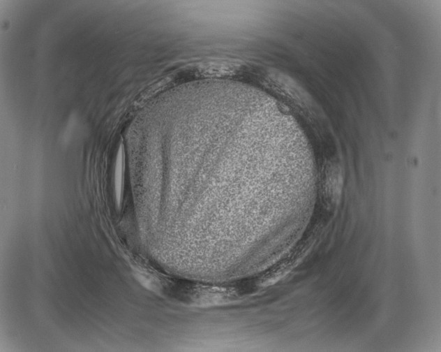 X0000085050315200703191305