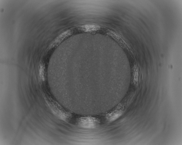 X0000085050316200703191305