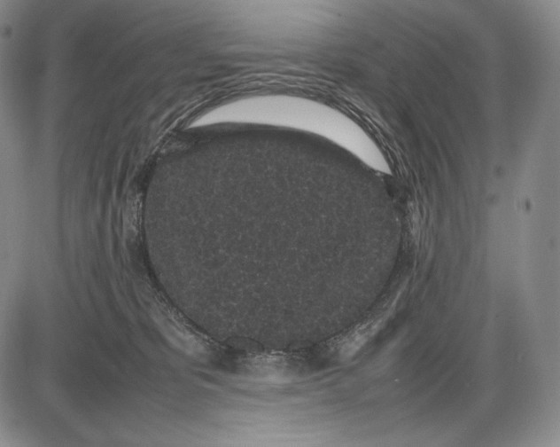 X0000085050325200703191305