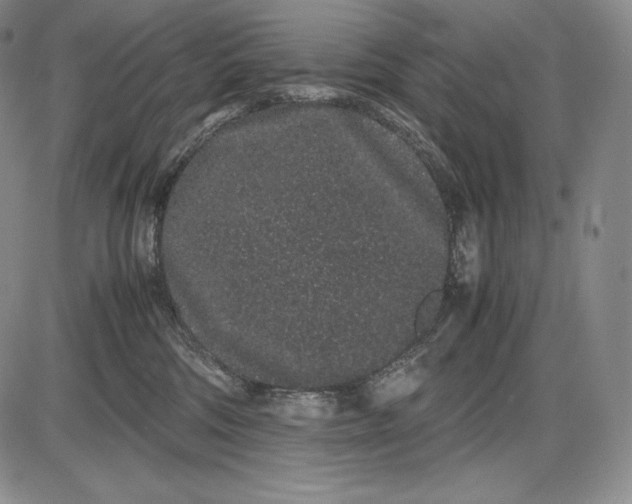 X0000085050330200703191305