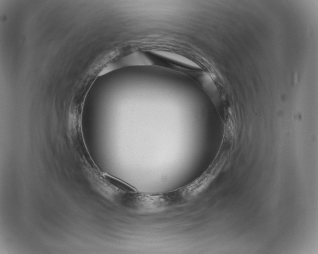 X0000085050333200703191305