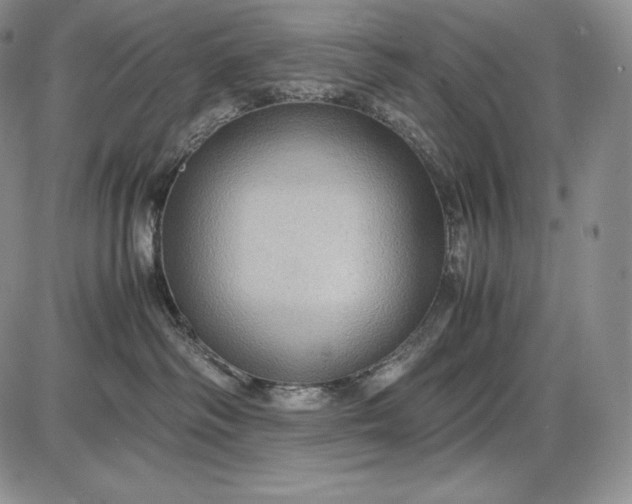 X0000085050334200703191305