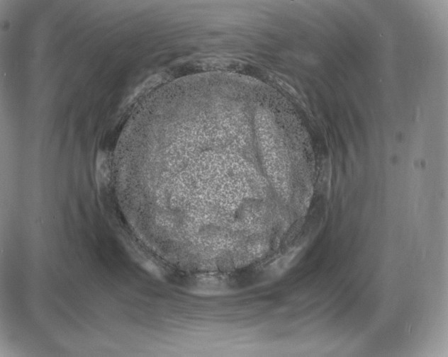 X0000085050335200703191305