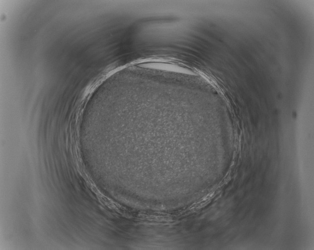 X0000085050337200703191304