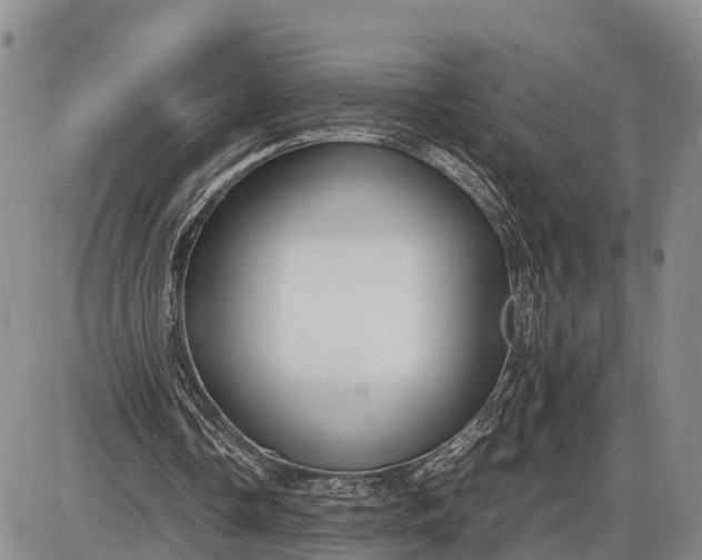 X0000085050338200703191304