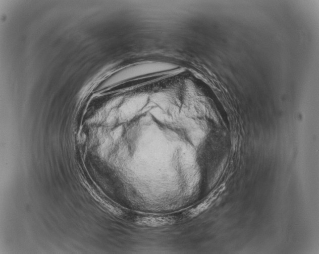 X0000085050341200703191304