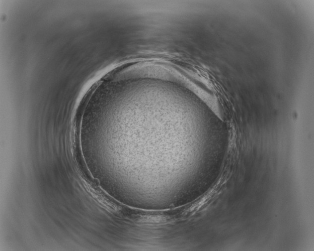 X0000085050342200703191304