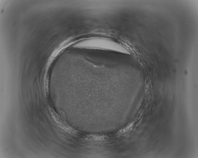 X0000085050343200703191304