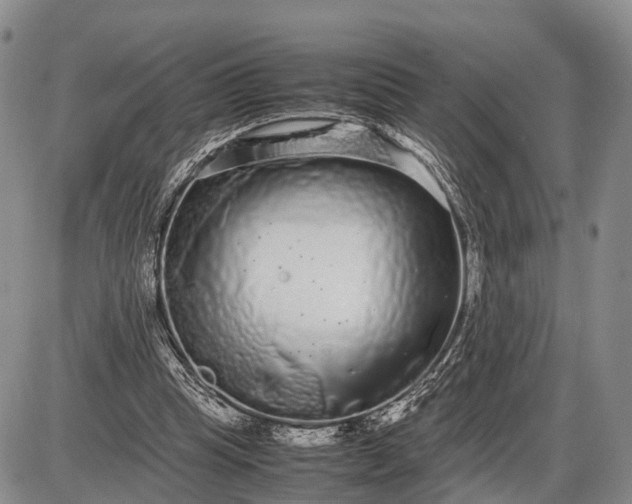 X0000085050345200703191304