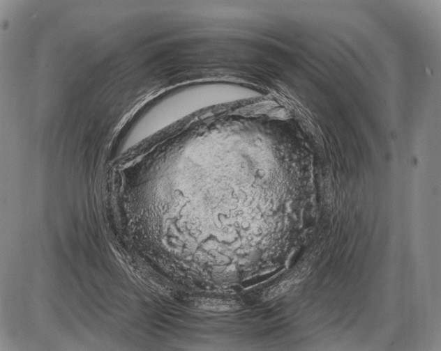 X0000085050347200703191305