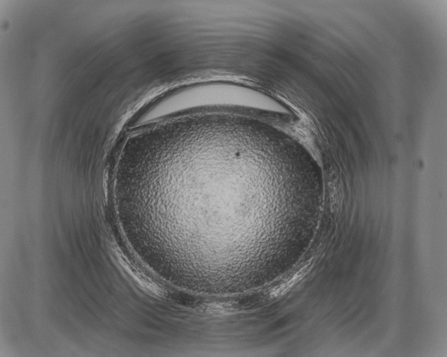 X0000085050350200703191305