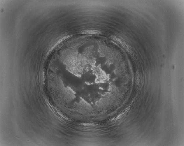 X0000085050351200703191305