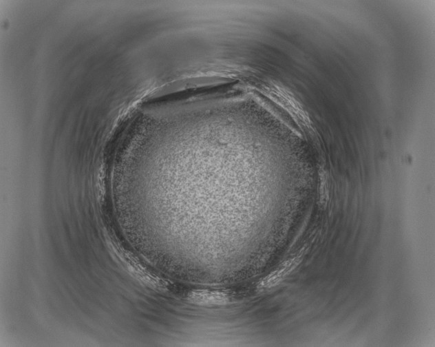 X0000085050354200703191305