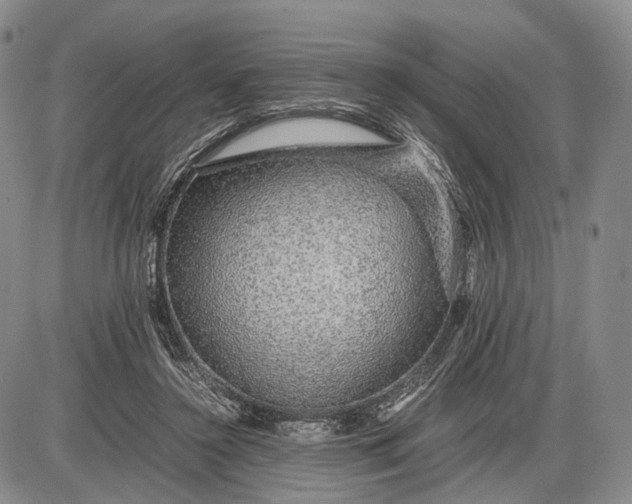 X0000085050356200703191305