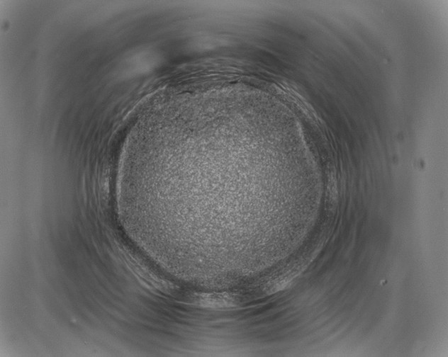 X0000085050363200703191305