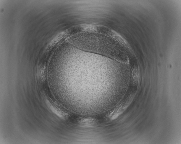 X0000085050364200703191305