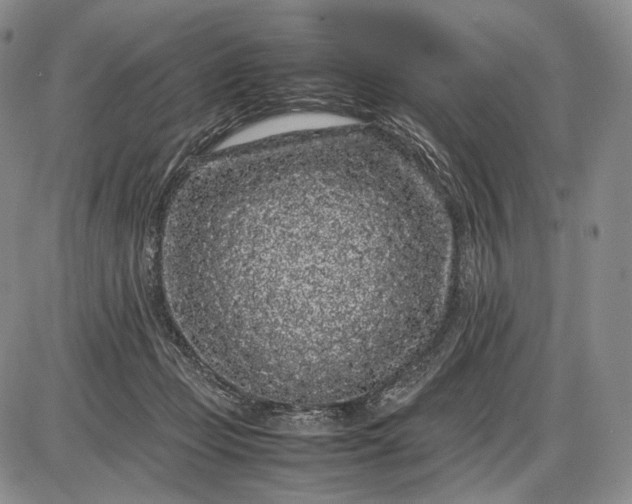 X0000085050365200703191305