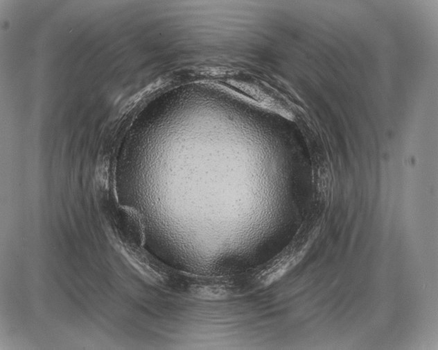 X0000085050368200703191305