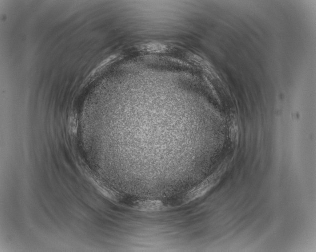 X0000085050374200703191305