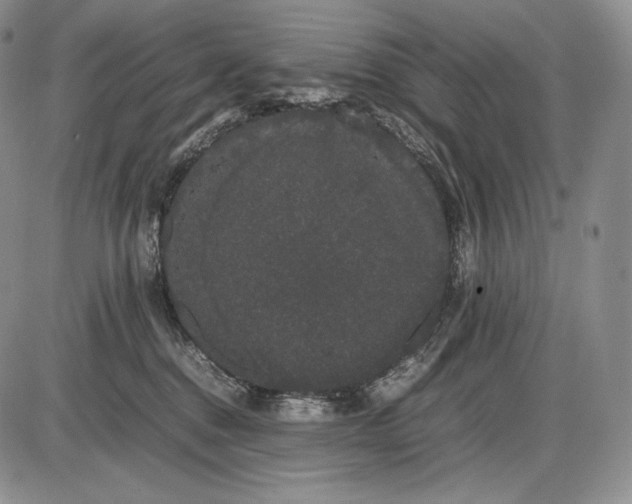 X0000085050376200703191305