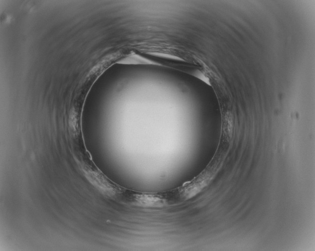 X0000085050380200703191305