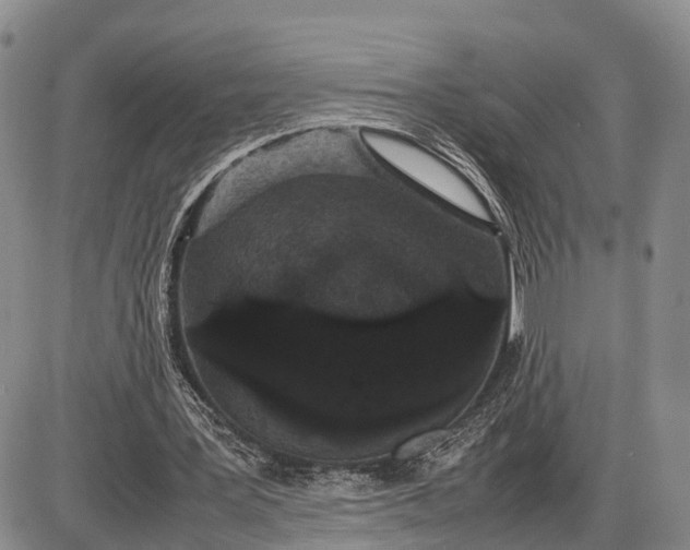 X0000085050387200703191304