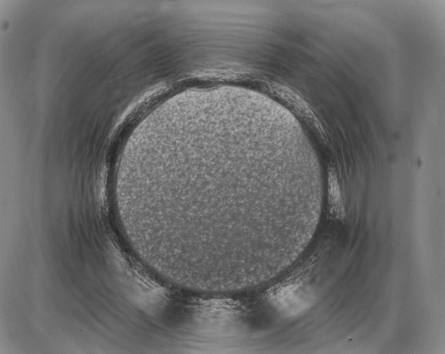 X0000085050396200703191304