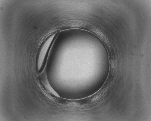 X0000085050397200703191304