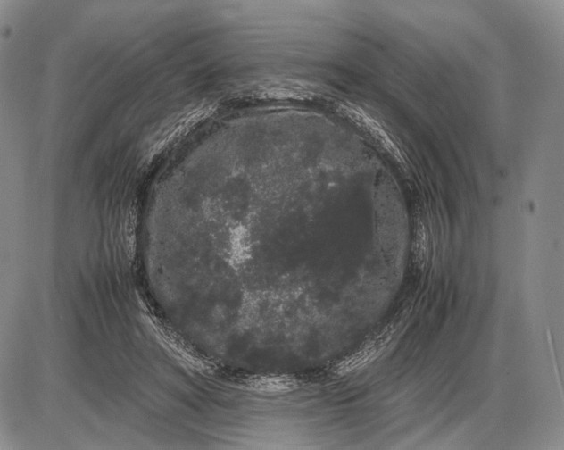 X0000085050402200703191304
